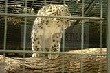 leipzig zoo-01_07_2011_zoo_allgemein_418